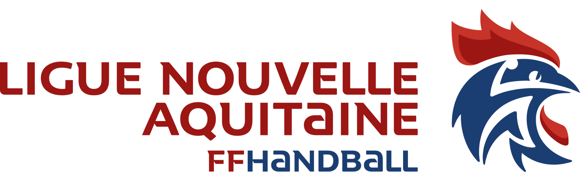 Ligue Nouvelle-Aquitaine de Handball